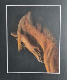 Häst 1